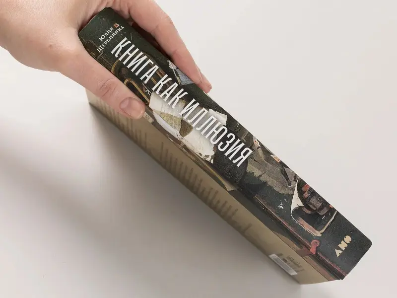 Щербинина Юлия Владимировна: Книга как иллюзия: Тайники, лжебиблиотеки, арт-объекты