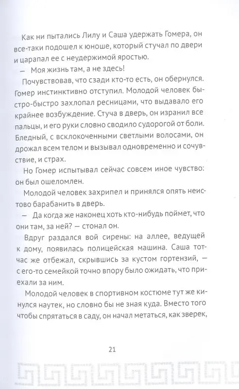 Уценка. Плишота Анн: Гомер Пим и секрет Одиссея