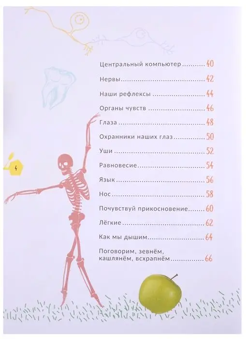 Уценка. Человек. Гигантская энциклопедия для самых маленьких