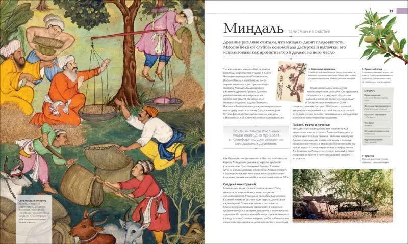 Уценка. История еды