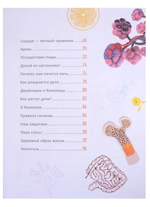 Уценка. Человек. Гигантская энциклопедия для самых маленьких