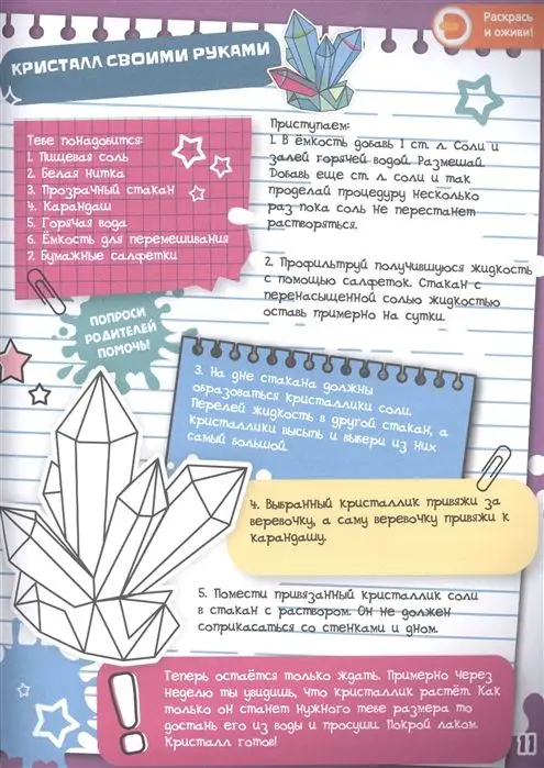 Живые увлечения, "Мой маленький пони. Создай свой стиль с Рарити"