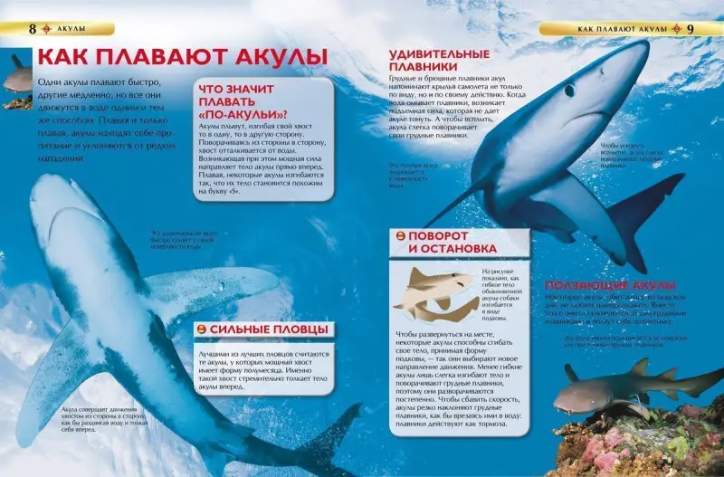 Уценка. Акулы. Детская энциклопедия