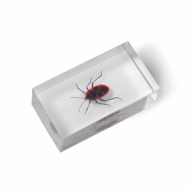 Журнал № 59 "Настоящие насекомые" (Клоп-щитник )