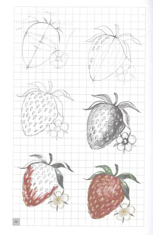 Грей Мистер: Экспресс-курс по рисованию. Раскрась меня!