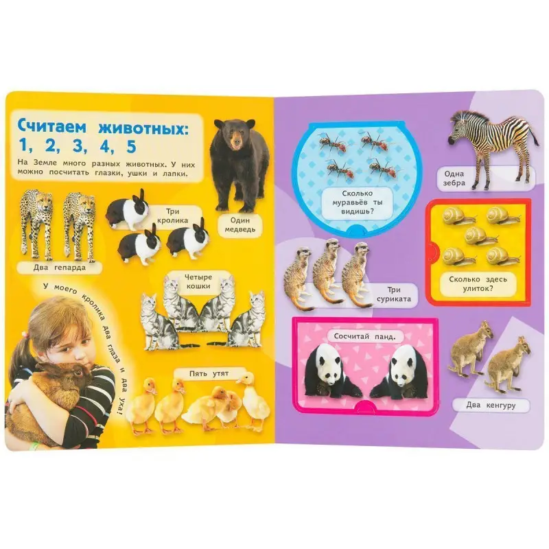 Уценка. Счет (Книжка с окошками рос)