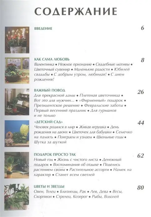 Цветочный дом. Комнатные растения в подарок