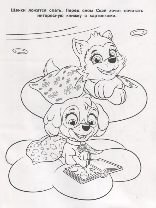 Волшебная раскраска N РК 1922 "Щенячий патруль"