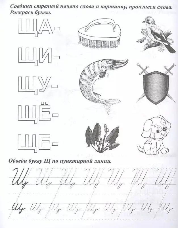 Логопедические прописи. Ч, Щ. Учим звуки и буквы. Для детей 4-6 лет