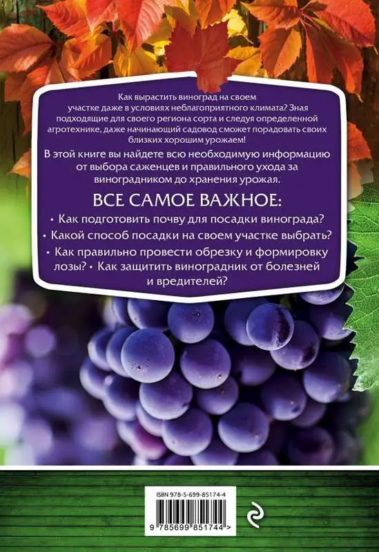 Виноградник. Секреты для любого региона