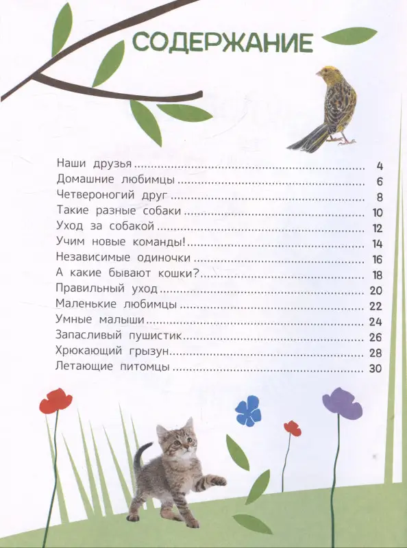Тяжелкова Кира Егоровна: Домашние любимцы. Энциклопедия для первого чтения с крупными буквами