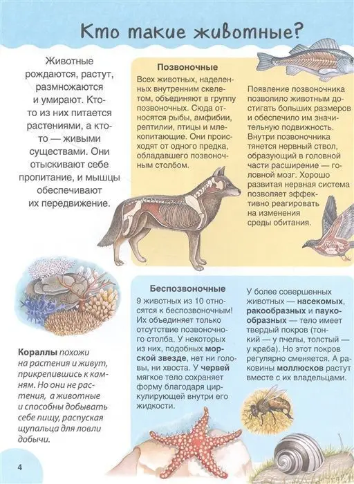 Первая энциклопедия малыша. Животные