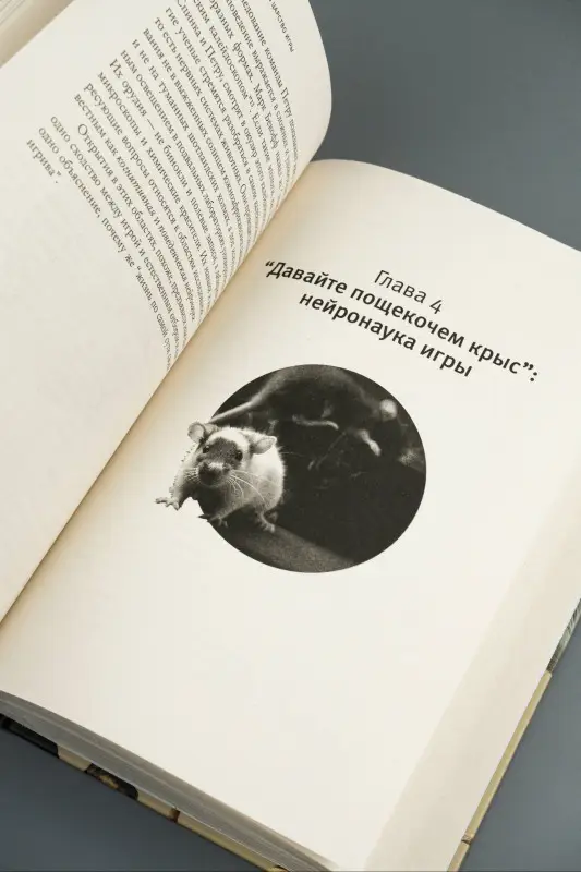 Уценка. Туми Дэвид: Царство игры