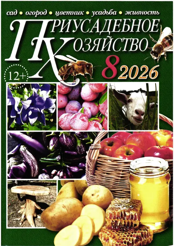 Приусадебное Хозяйство 08/26