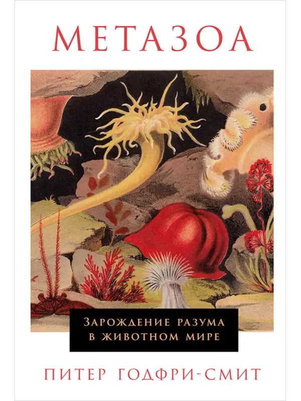 Уценка. Годфри-Смит Питер. Метазоа: Зарождение разума в животном мире