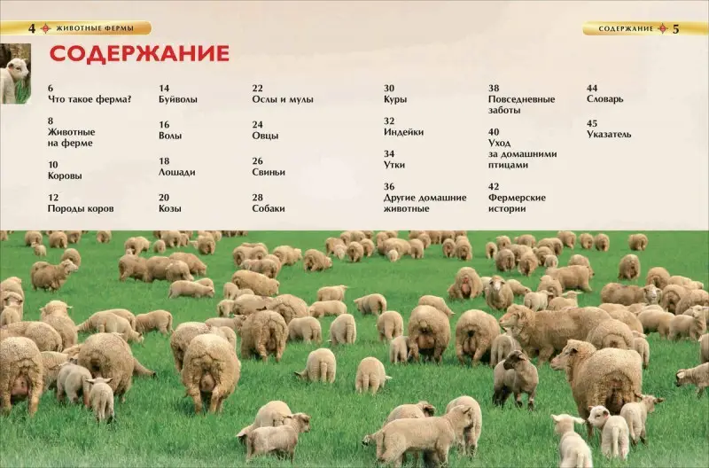 Уценка. Животные фермы. Детская энциклопедия (новая обл.)