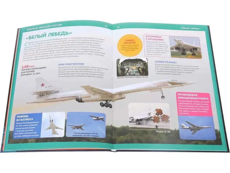 Эти удивительные военная авиация и флот России