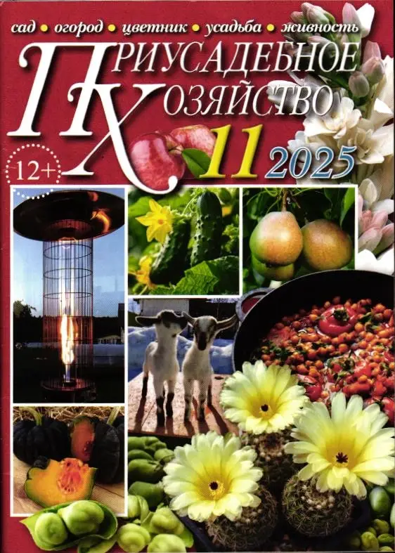 Приусадебное Хозяйство 11/25