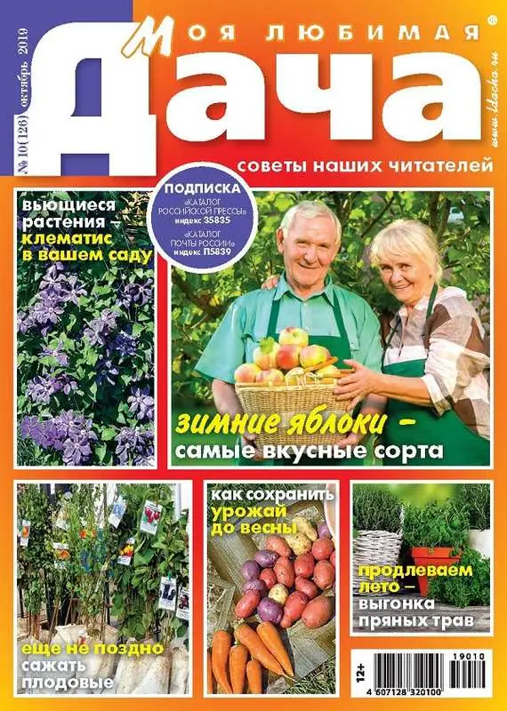 Журнал МОЯ ЛЮБИМАЯ ДАЧА №10/2019