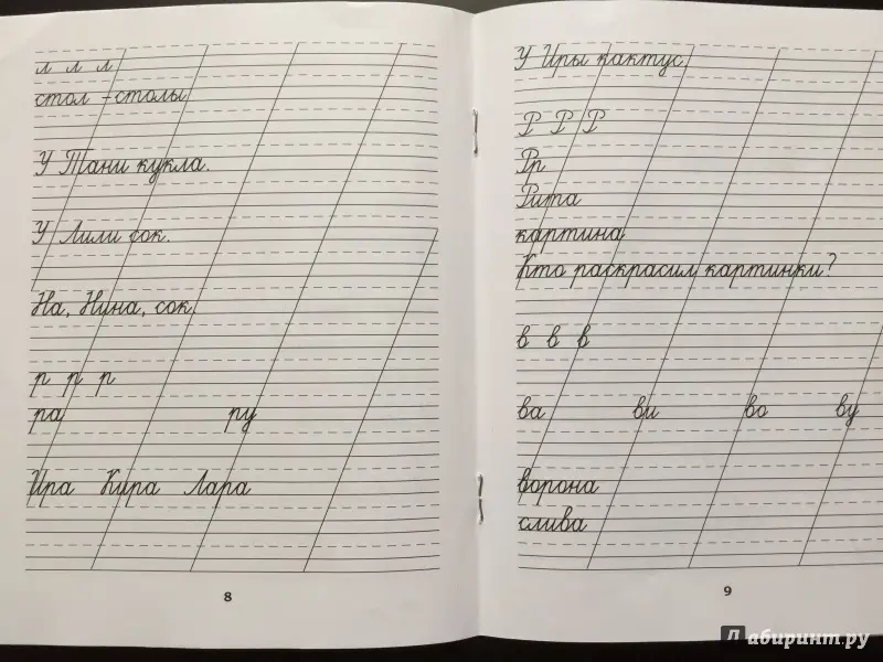 Классические прописи по русскому языку. Пропись №1