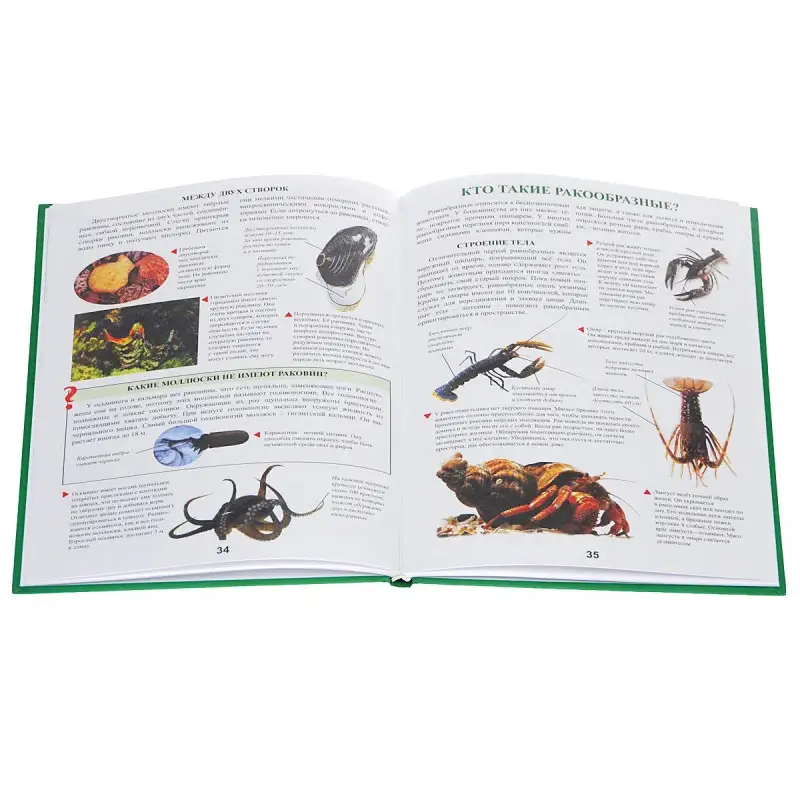 Уценка. Живая природа (978-985-539-326-0)