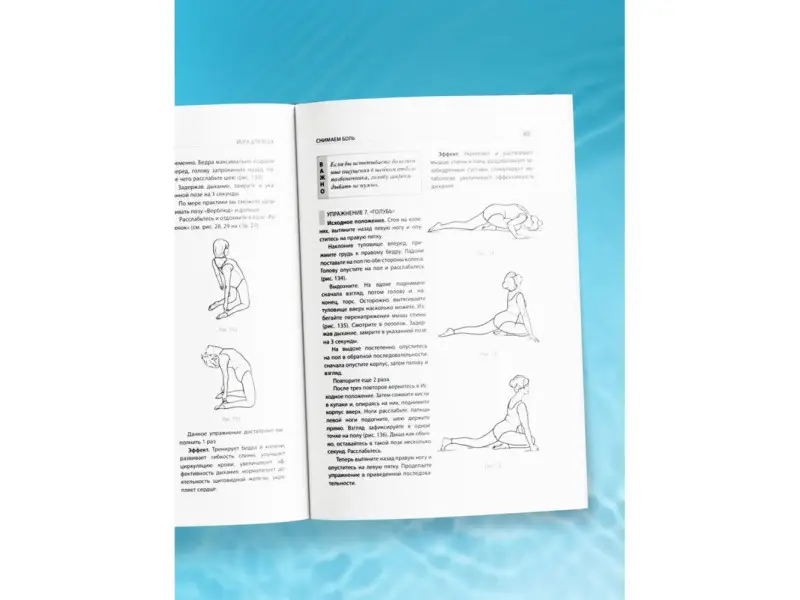 Элис Кристенсэн. Йога для всех: путь к здоровью