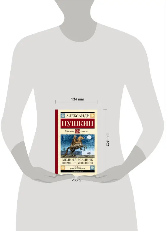 Уценка. Пушкин Александр Сергеевич: Медный всадник. Поэмы. Стихотворения