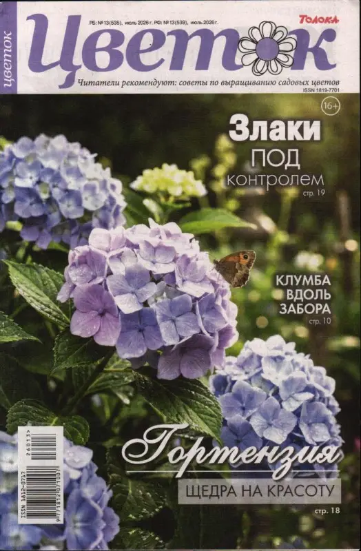 Цветок 13/26