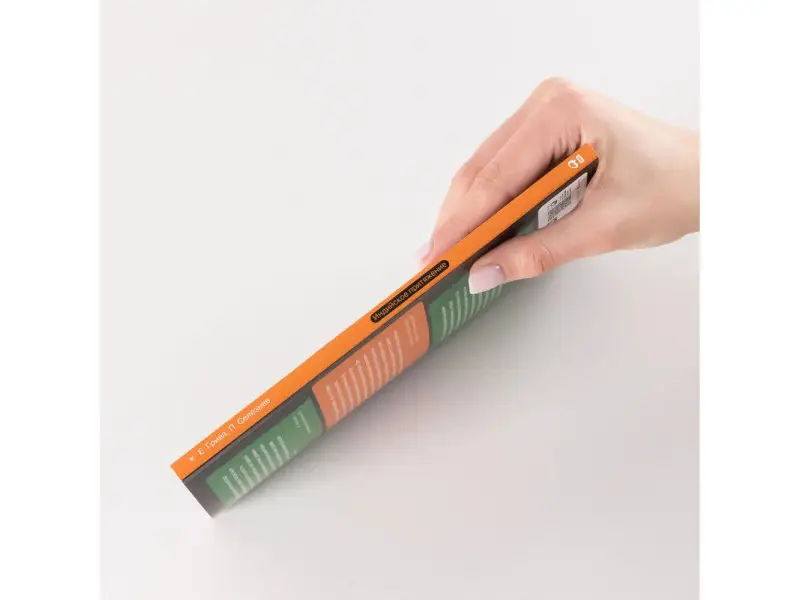 Селезнев Павел, Грива Евгений. Индийское притяжение: Бизнес в стране возможностей и контрастов