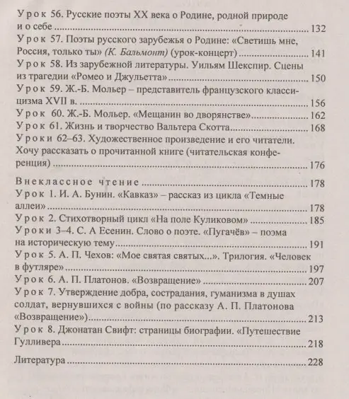 Литература. 8 класс. Система уроков по учебнику В. Я. Коровиной, В. П. Журавлева, В. И. Коровина. Часть II
