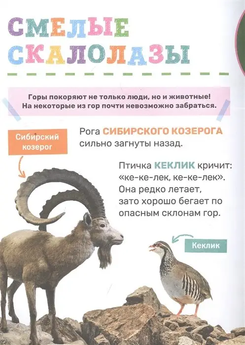 Уценка. Животные. Первая энциклопедия малыша