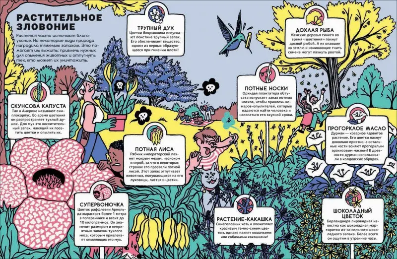 Запах. Обонятельные факты