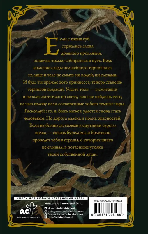 Уценка. Евгения Спащенко: Терновая ведьма. Изольда