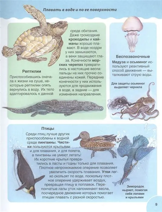 Первая энциклопедия малыша. Животные