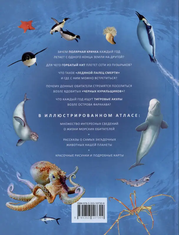 Уценка. Моря и океаны. Иллюстрированный атлас
