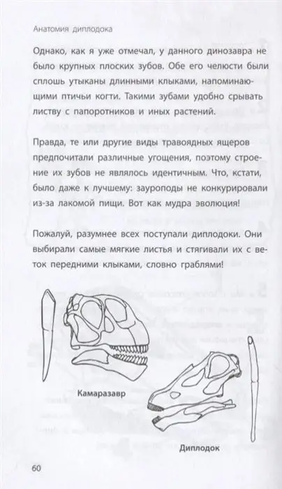 Бен Гэррод: Диплодок