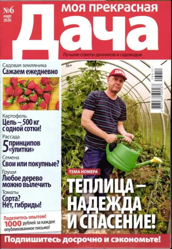 Моя Прекрасная Дача 06/26