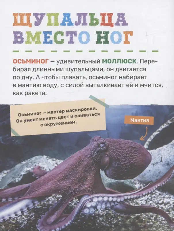 Тяжелкова Кира Егоровна: Подводный мир. Первая энциклопедия малыша