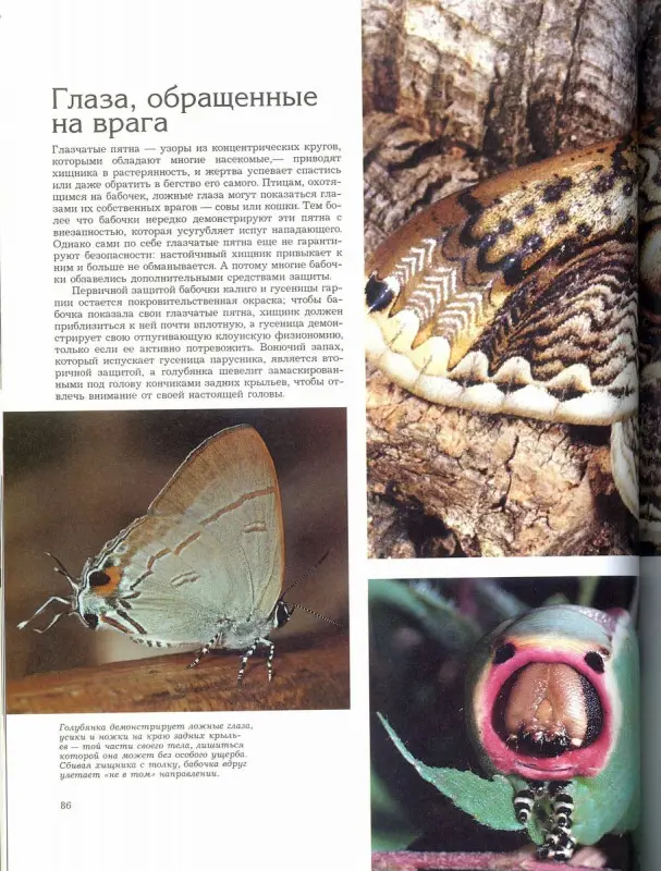 Способы защиты у животных. Теннер О.