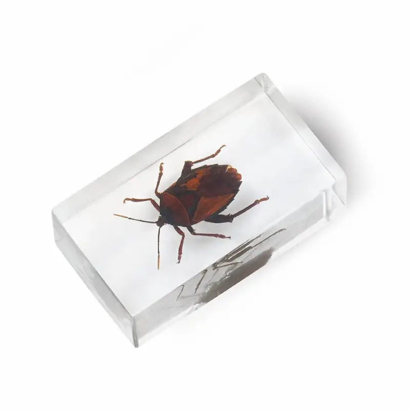 Журнал № 65 "Настоящие насекомые" (Клоп-краевик )