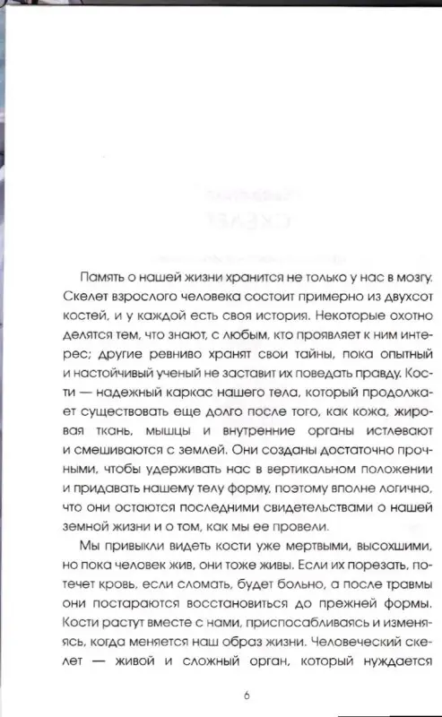 Записано на костях. Тайны, оставшиеся после нас