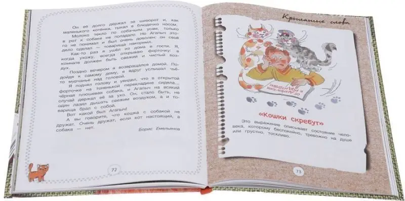 Большая книга про кошек. Рассказы и стихи. Самые знаменитые родственники кошек+маленькая энциклопедия