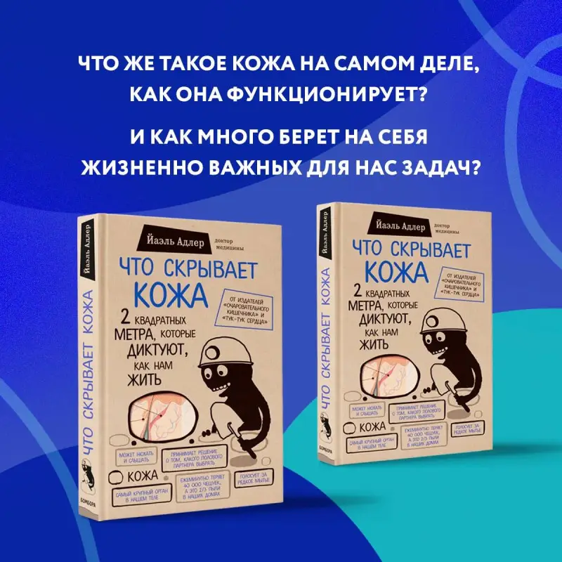 Уценка. Что скрывает кожа. 2 квадратных метра, которые диктуют, как нам жить