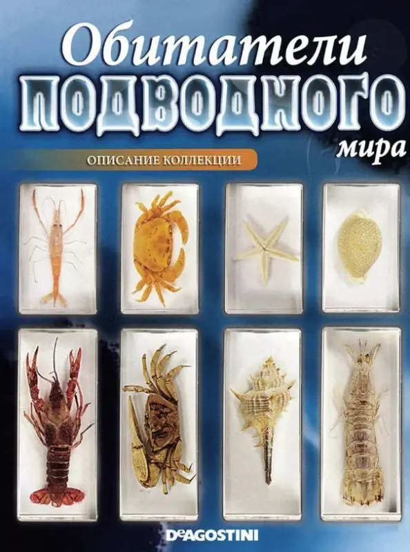 Журнал Обитатели подводного мира №01 с ВЛОЖЕНИЕМ! Вложение Макробрахиум