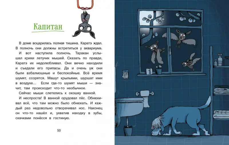 Кристиан Тильман: Сокровище для пиратов