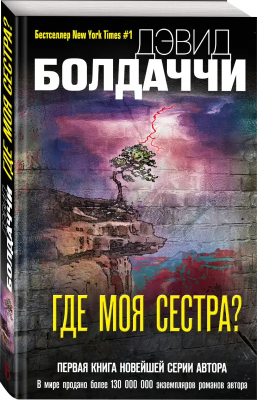 Уценка. Дэвид Болдаччи. Где моя сестра?