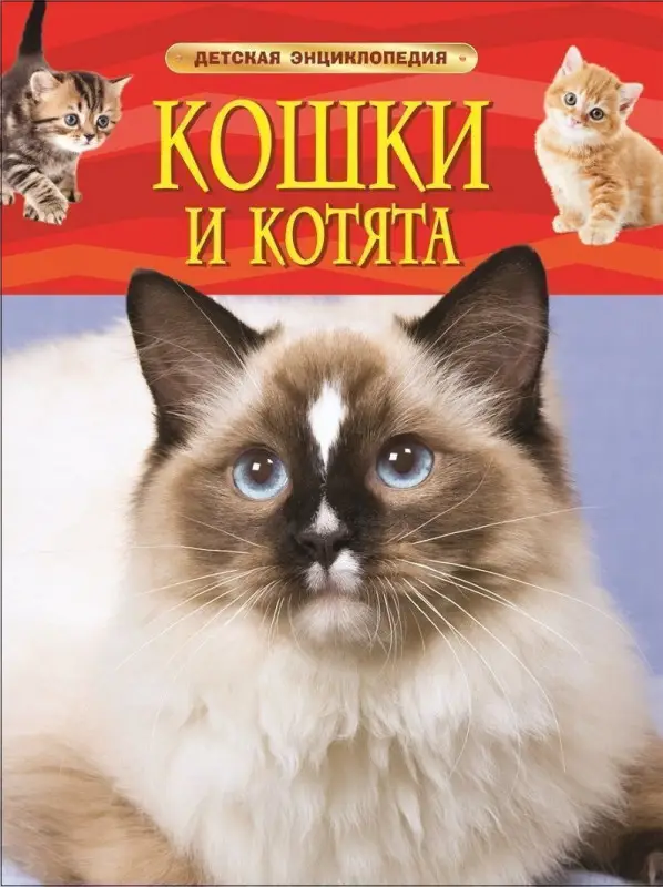 Кошки и котята. Детская энциклопедия