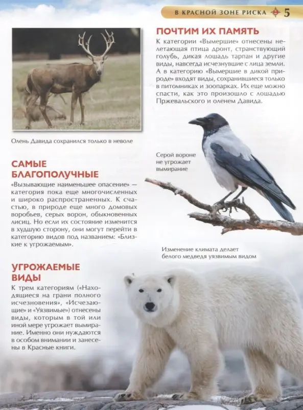 Уценка. Красная книга. Детская энциклопедия