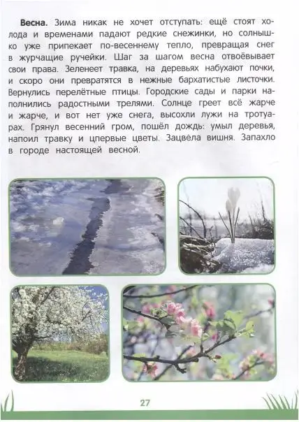 Уценка. Этери Заболотная: Энциклопедия дошкольника. 3-4 года