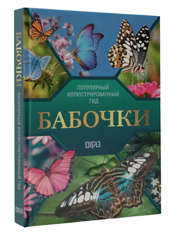 Спектор Анна Артуровна: Бабочки. Иллюстрированный гид